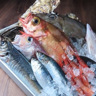 新鮮な食材を仕入れております！