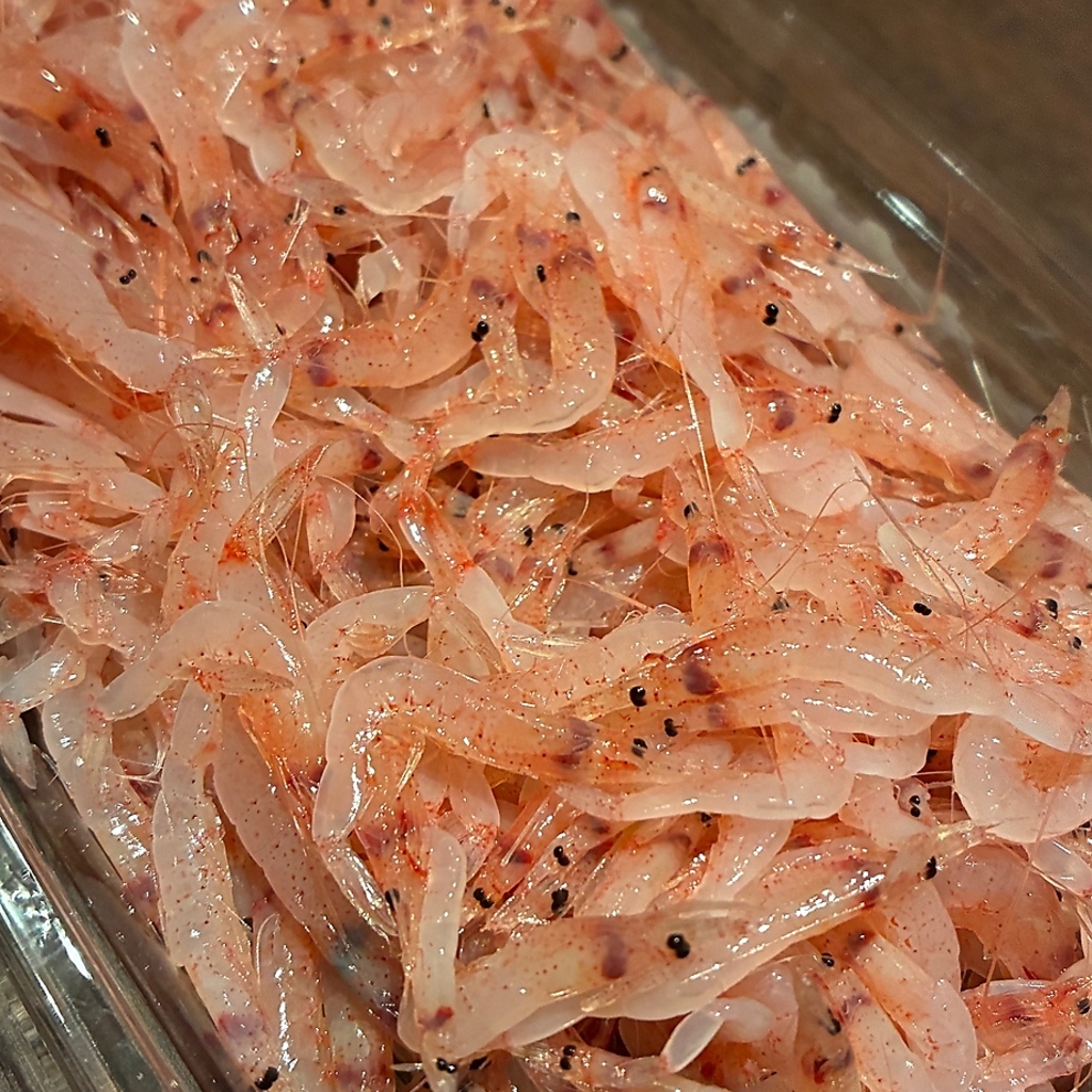 店主の実家は静岡県由比のサクラエビ船元。運が良ければ本気の直送初物が食べられるかも！