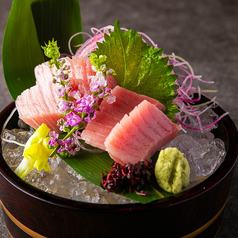 本鮪　中とろ刺し