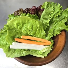 野菜大地