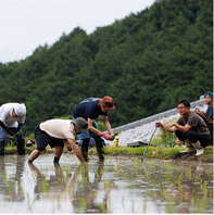 【無農薬米で作る日本酒『S風の森』アンバサダー店】