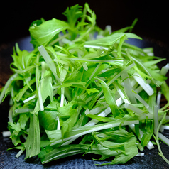 水菜