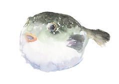 日本料理をとわのコース写真