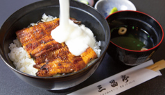 うなとろ丼