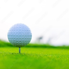 シミュレーションゴルフ＆バー tano clubの特集写真