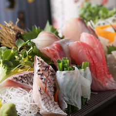 【鮮度が自慢】　築地市場直送の旬鮮魚で宴会☆