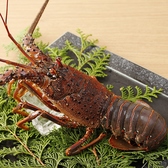 和食日和 おさけと 大門浜松町のおすすめ料理3