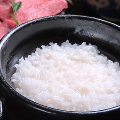 炊きたて土鍋ご飯 2人前～