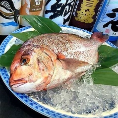 宴会・接待にオススメ◎瀬戸内の鯛のおもてなしコース