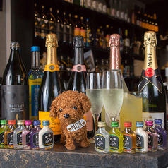 カラオケBar Noa ノアのコース写真