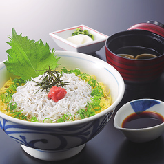 【丼】宇和海産釜楊げしらす丼
