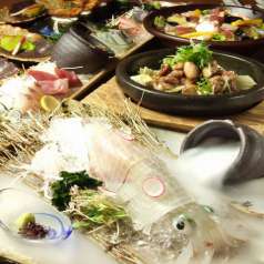 さかな市場 博多海鮮 博多駅前店の特集写真