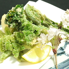 〈白鳥〉春の山菜天麩羅