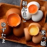 殻YABURI 平塚店のおすすめポイント3