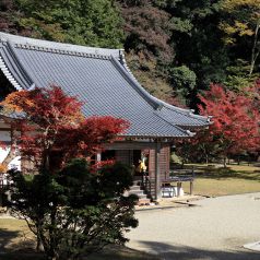 奈良の地酒を多数取り揃え