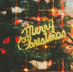 abbacchio アバッキオ イタリア料理のコース写真