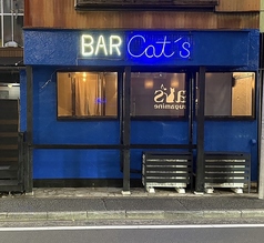 BAR Cat s