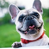 大塚西BBQ　テラスの雰囲気3