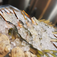 焼きを極める火々の特集写真