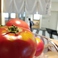 トマト！夏だけあります。（基本的に）これは静岡市大橋さんの無農薬トマトです！大橋さんはお米もいただいております。自然な太陽の恵みいっぱいのトマトを是非！