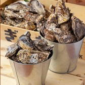 牡蠣バケツ盛り1099円!!「一年中新鮮で美味しい牡蠣を味わえる」と話題の播磨灘産牡蠣を使用しています。