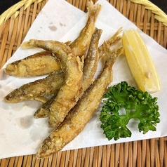 子持ちししゃも