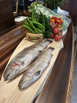 八ヶ岳湧水鱒・甲州ワイン鱒をはじめとする川魚を刺身提供