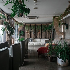 TRIBE Top Terrace うえの水たばこの特集写真
