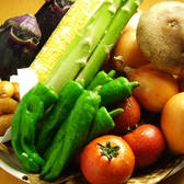 野菜も道産を中心に旬の素材にこだわり。