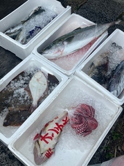 毎日仕入れる新鮮なお魚料理