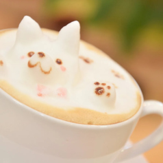 しろいぬカフェの写真