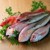 海鮮処 一 ichiのおすすめ料理2