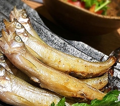 本ししゃも&樺太ししゃも食べ比べ