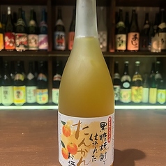 奄美たんかん酒