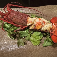 菜庭のコース写真