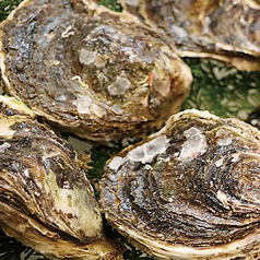 生牡蠣