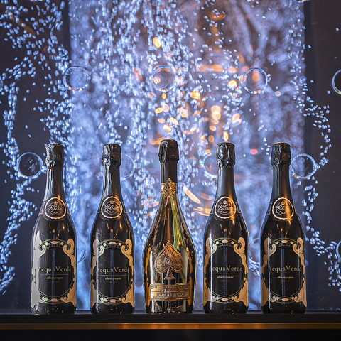 水槽と緑が煌めく幻想的な隠れ家。生パスタや70種のシーシャ、本格カクテルを平野で。