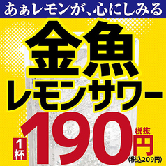 安っ！金魚レモンサワー190円（税込209円）