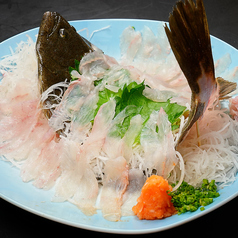 【活】ヒラメの刺身