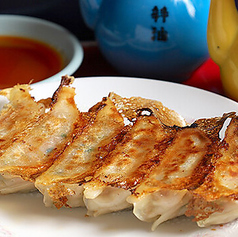【やき】イェスタデイ焼き餃子 6個