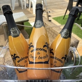 グルメ・BBQ・花火・イベント！遊びきれない「海の家コングビーチ」を思いっきり楽しもう！360度見渡す限り広がる由比ガ浜の美しい海を眺めながら過ごす最高の夏時間を今年の夏も海の家コングビーチが皆さんにお届けします。