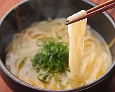 濃厚鶏豚白湯 塩うどん