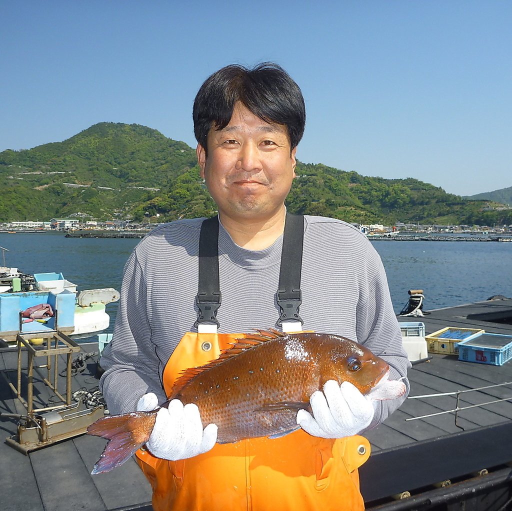 宇和島から毎日直送！シーズンごとに旬の魚をメニューに取り入れてご提供。和洋中と幅広いメニュー◎