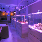 アクアリウムダイニング　サカナノセカイ　小倉店の雰囲気3