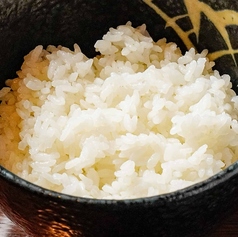 白ごはん