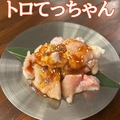 料理メニュー写真 [No.3]とろテッチャン