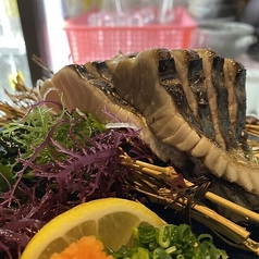 福岡産　サワラ炙り