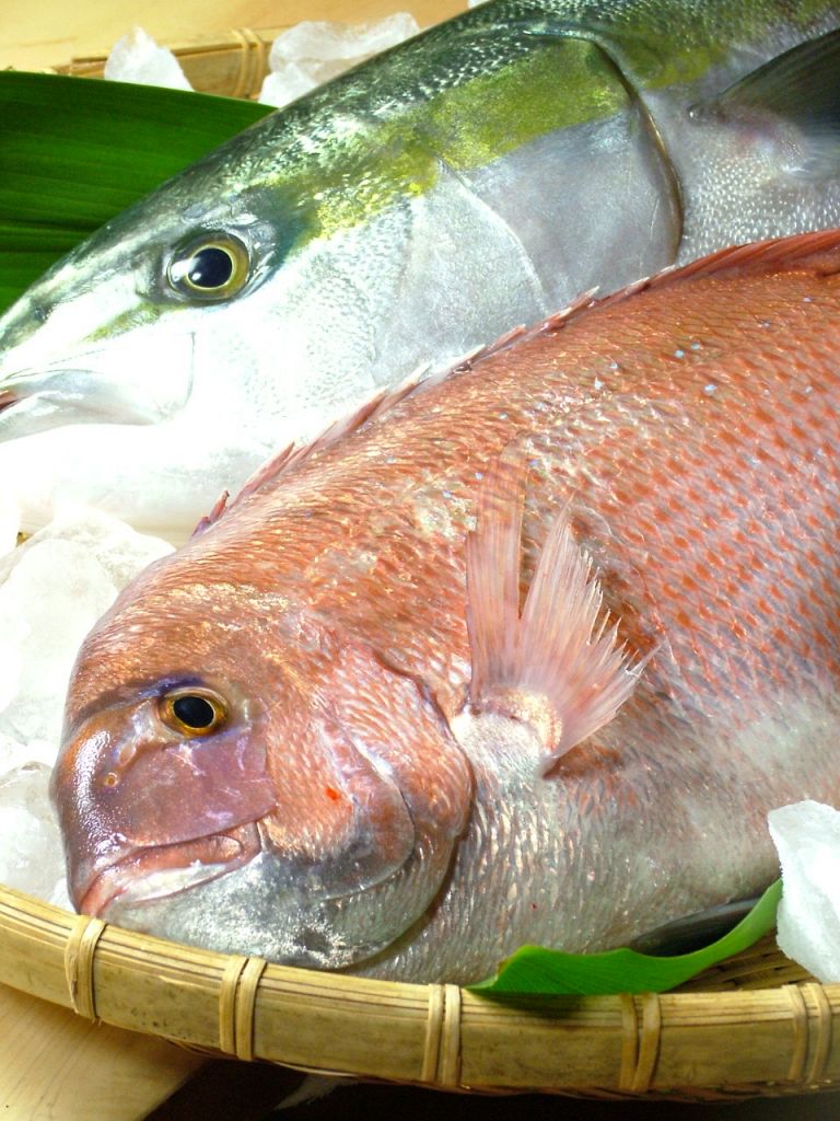 こだわりの素材を毎日仕入れ！ネタケースには旬の【瀬戸内】の魚が勢揃い！今日は何にしましょう？