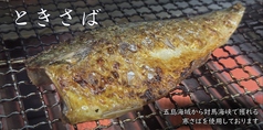 食堂くまとさかなの写真