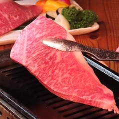 個室焼肉食べ放題 もつ焼ジョニーのコース写真